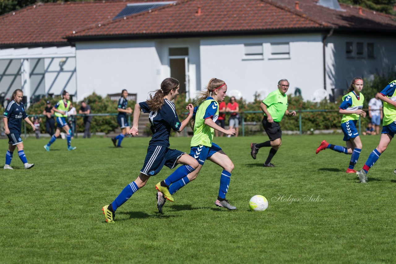 Bild 187 - B-Juniorinnen VfL Pinneberg - HSV : Ergebnis: 1:4